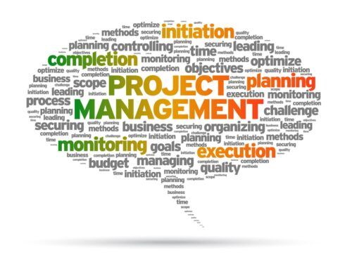 Importance of Project Risk Management