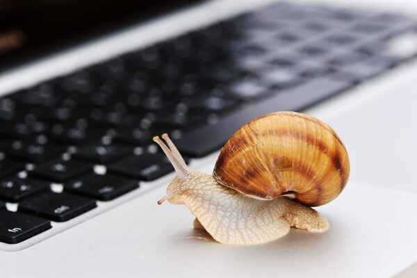 Common Computer Issues: How to Identify and Fix the Most Frequent Tech Problems 3 Snail on laptop concept image of slow processing speed for computers.